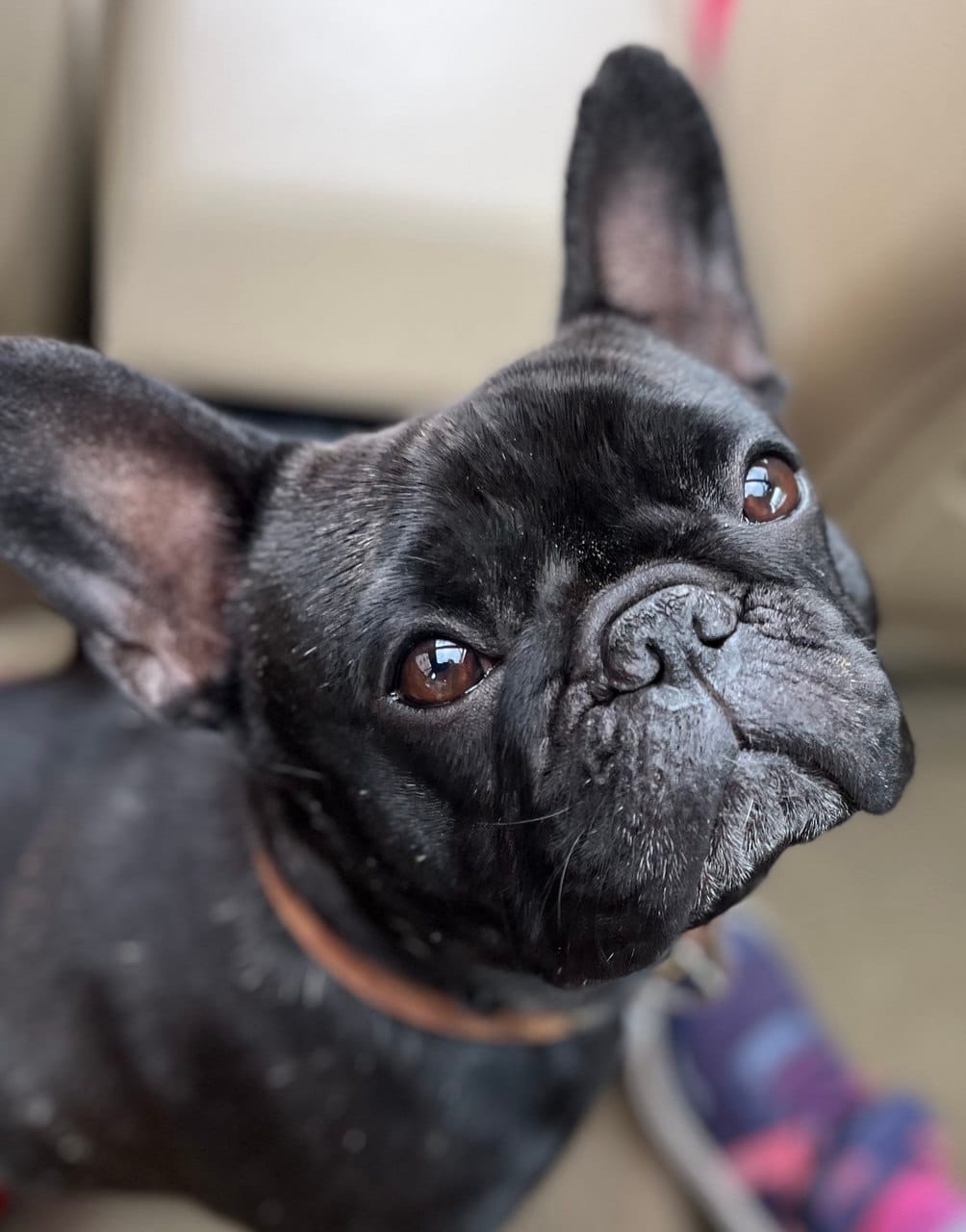 Stop Pretending You're Fine: The Real Cost of Bottling It Up