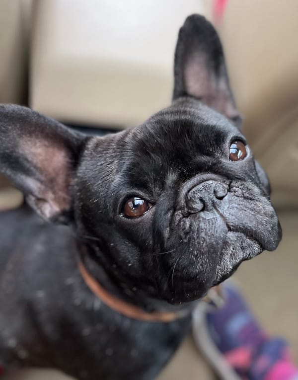 Stop Pretending You're Fine: The Real Cost of Bottling It Up