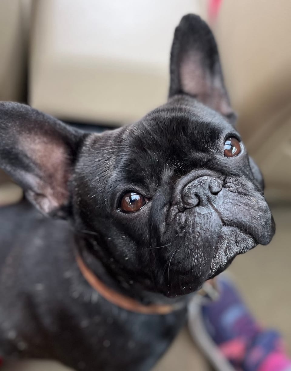 Stop Pretending You're Fine: The Real Cost of Bottling It Up